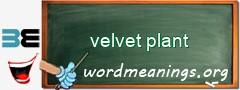 WordMeaning blackboard for velvet plant
